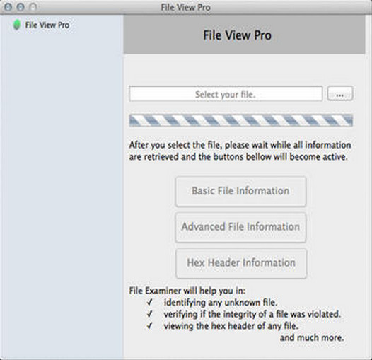 File View Pro 1.5 : Main window