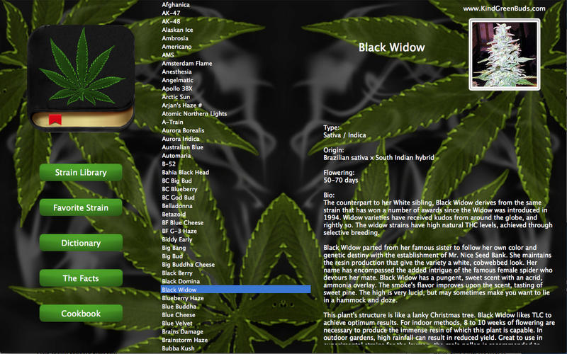 Marijuana Handbook 4.0 : Main Window