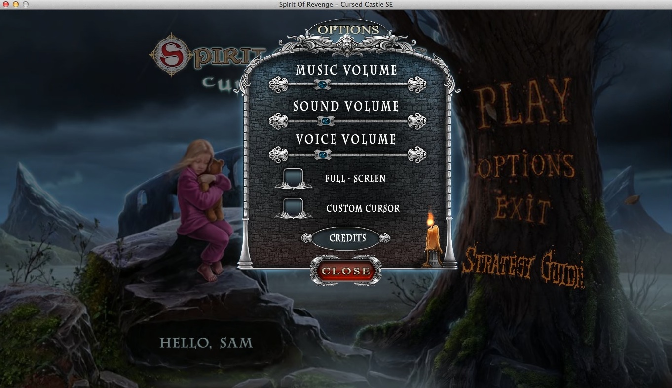 Spirit of Revenge: Cursed Castle : Game Options