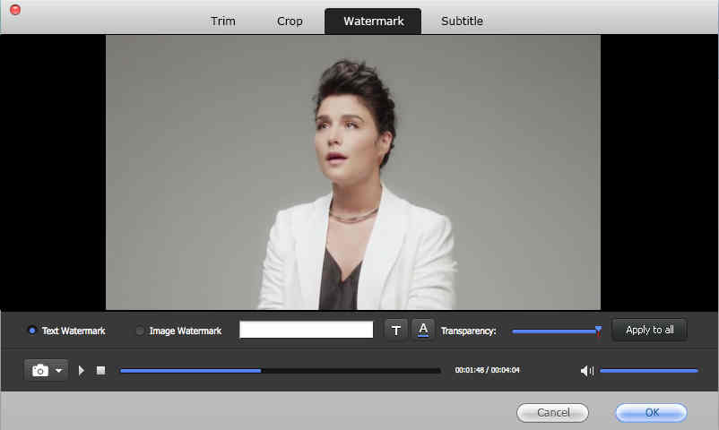 Free FLV To iMovie Converter 2.0 : Watermark Options