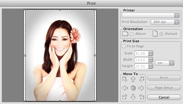 AKVIS MakeUp 3.5 : Printing Picture