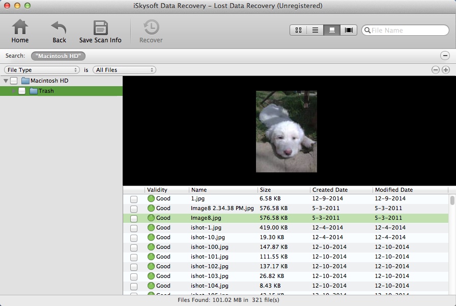 iSkysoft Data Recovery 2.4 : Preview Found Files