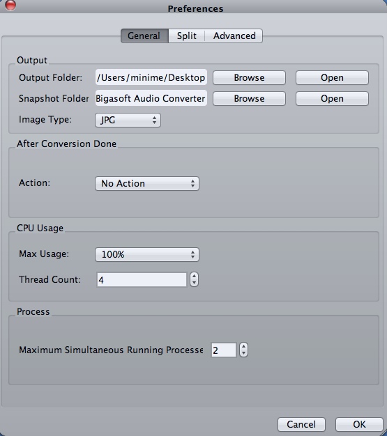 Bigasoft Audio Converter 4.5 : Program Preferences