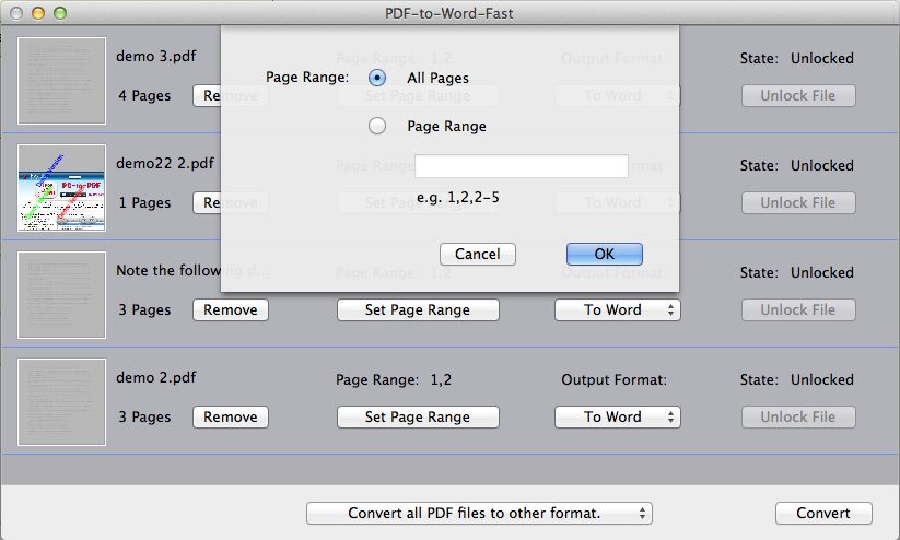 PDF-to-Word-Fast 1.0 : Conversion Options