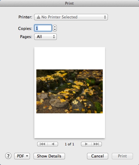 LilyView 1.1 : Printing Image