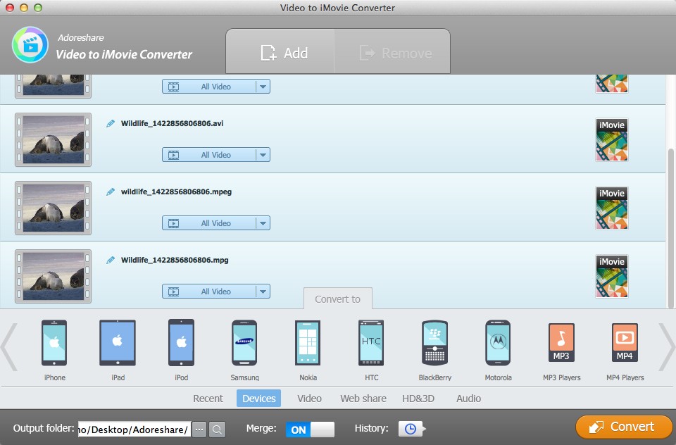 Video to iMovie Converter 2.0 : Conversion Options