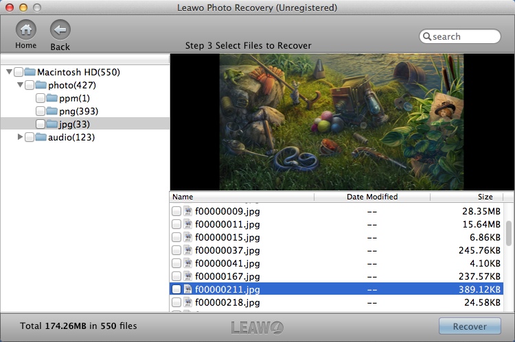 Leawo Photo Recovery for Mac 2.1 : Preview Found Files