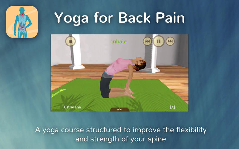 Yoga for Back Pain Relief 2.2 : Main Window