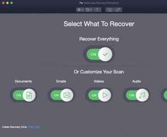 Select the file type you want to recover, then click "Next"