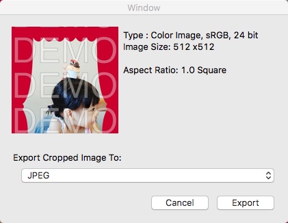 cookie cutter 1.2 : Exporting Resulting Image