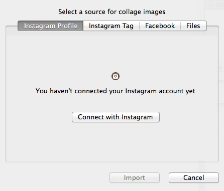 SocialCollage Free 1.1 : Import Options