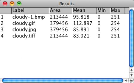 Batch Image Measurement