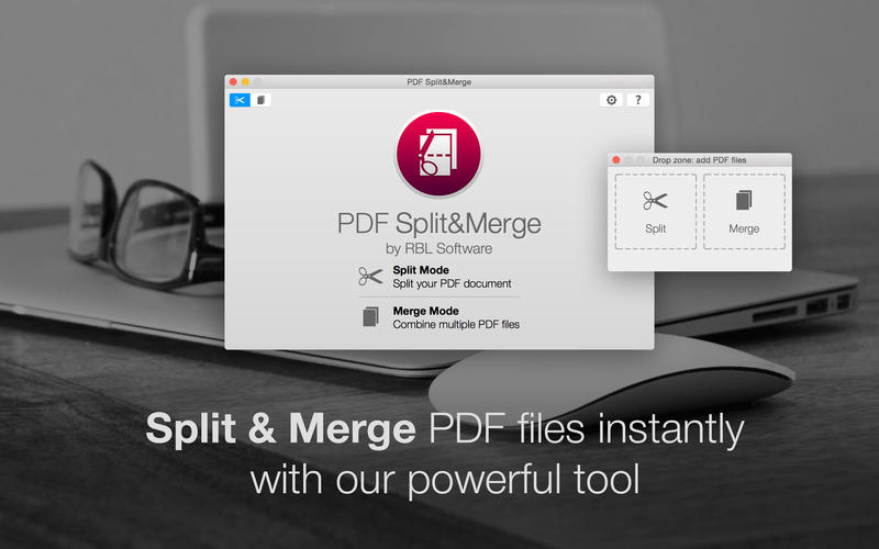 PDF Split & Merge PRO 1.0 : Main Window