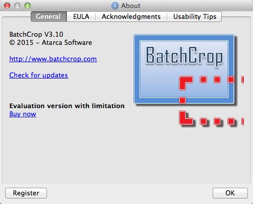 BatchCrop 3.1 : About Window