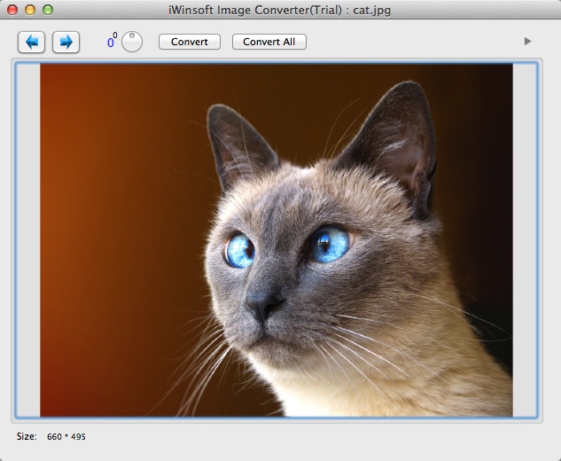 iWinSoft Image Converter 2.3 : Main Window