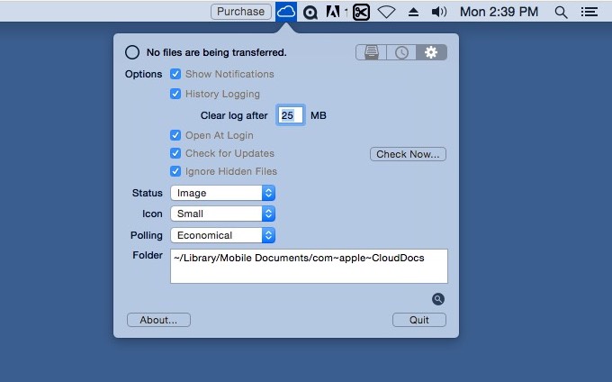 iCloudStatus 1.0 : Main window