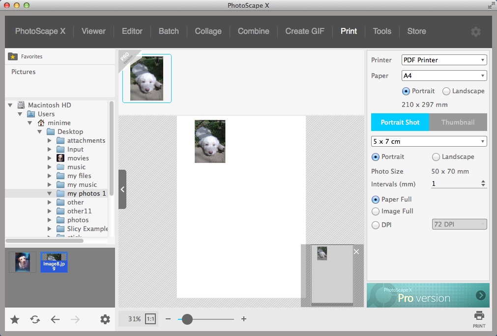 PhotoScape X 2.2 : Configuring Printing Options