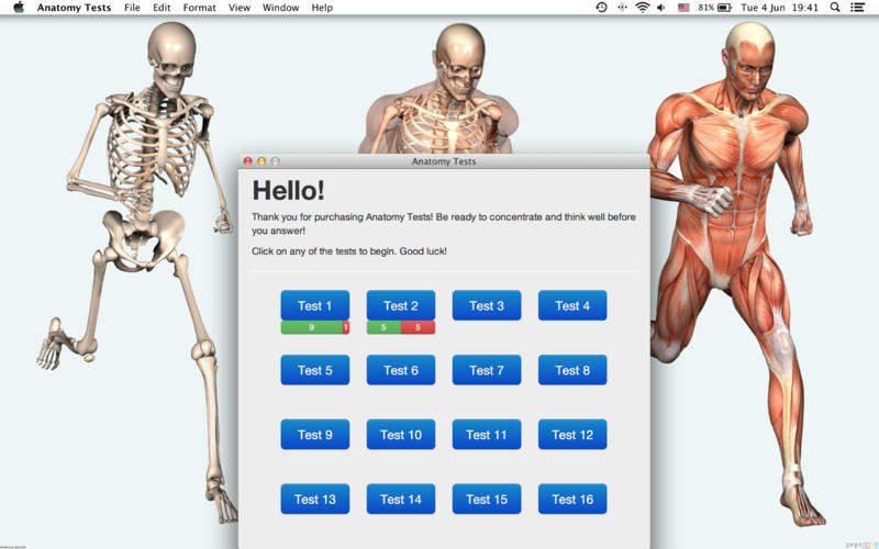 Anatomy Tests 1.0 : Main Window