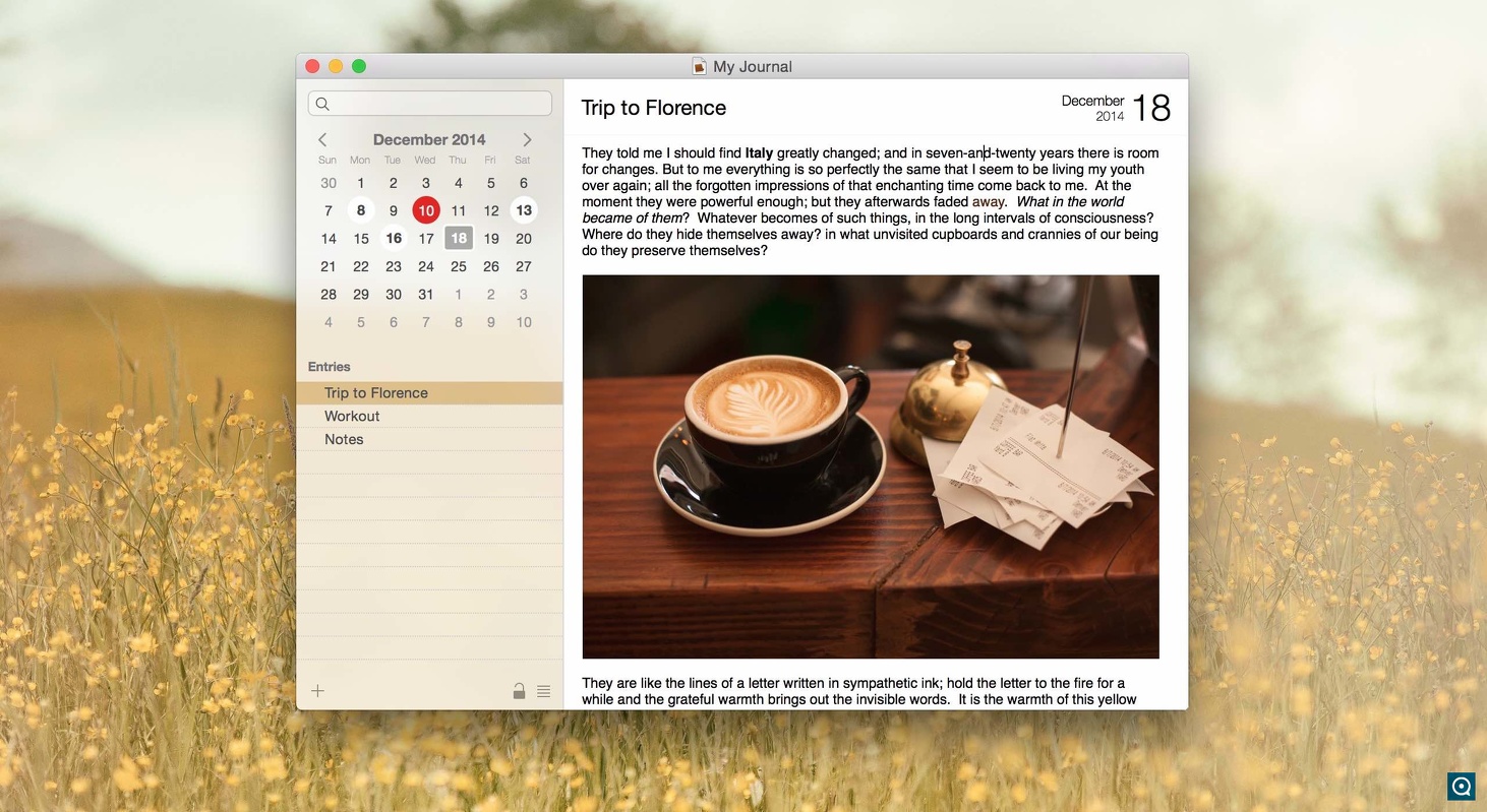 Memoires 4.5 : Screenshot of Mémoires, Mac diary software