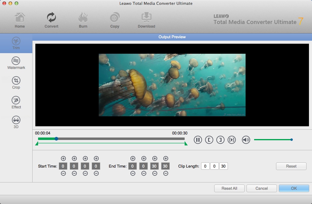 Leawo Total Media Converter Ultimate 7.3 : Editing Input Video File
