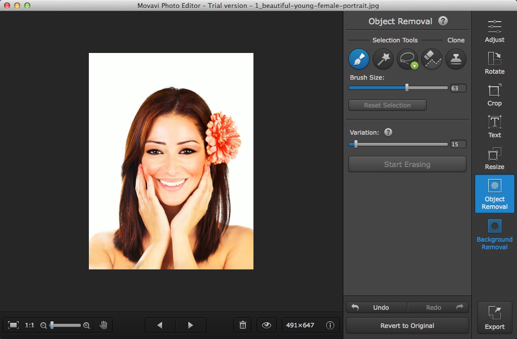 Movavi Photo Editor 2.1 : Configuring Object Removal Settings