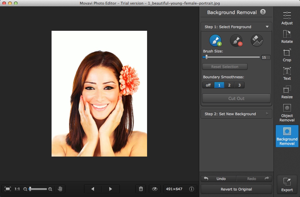 Movavi Photo Editor 2.1 : Configuring Background Removal Settings