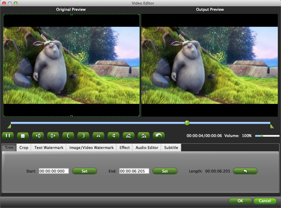 Brorsoft FLV Converter 2.7 : Video Editing Tools Window