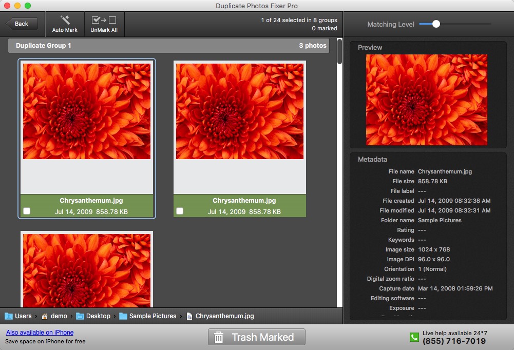 Duplicate Photos Fixer Pro 1.8 : Duplicate Files Window