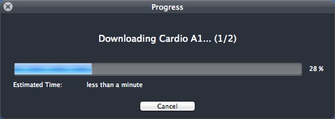 Baby Workout 1.0 : Downloading Workout Tutorial