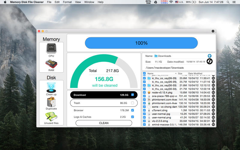 Memory Disk File Cleaner 2.9 : Main Window