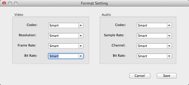 Video Converter Tool - Super 3.1 : Format Settings