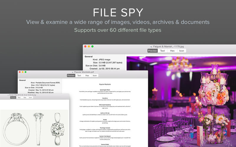 File Spy 1.0 : Main Window