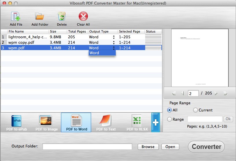 Vibosoft PDF Converter Master for Mac 2.1 : Word Options Window