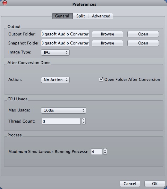 Bigasoft Audio Converter 5.0 : Program Preferences