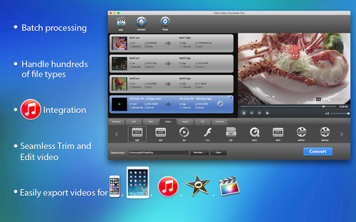 eTinysoft Total Video Converter Mac 3.9 : Main Window