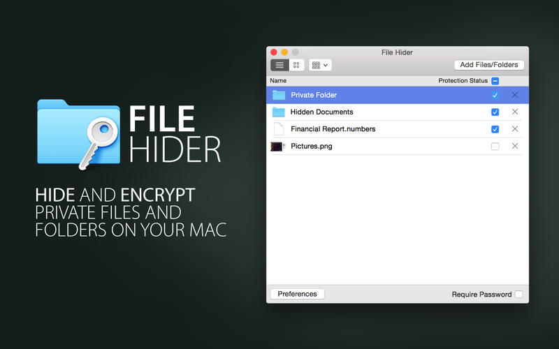 File Hider 1.0 : Main Window