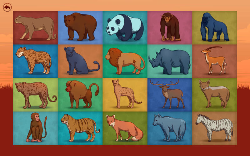 Wild Animals Flash Cards 1.0 : Main Window