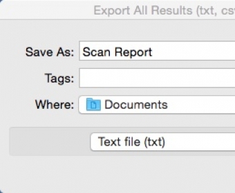 Exporting Scan Report
