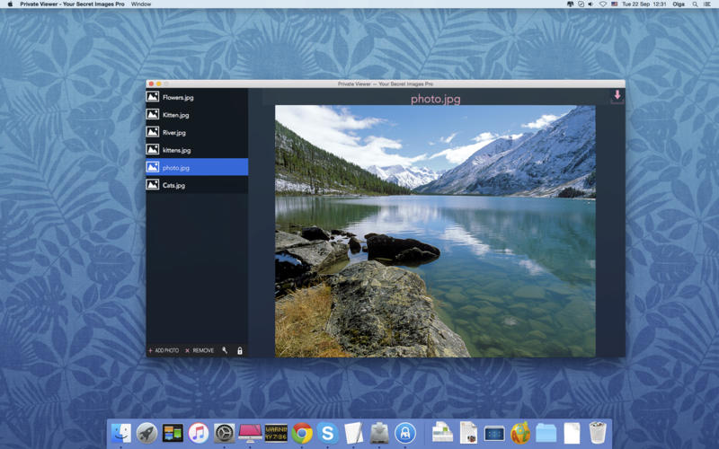 Private Viewer - Your Secret Images 1.0 : Main window