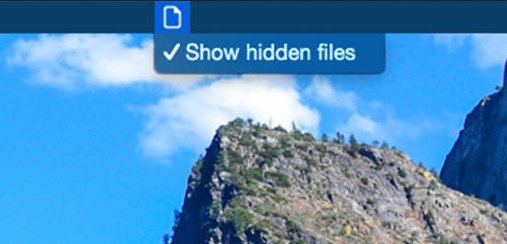 Hidden Files Toggle 1.0 : Main window