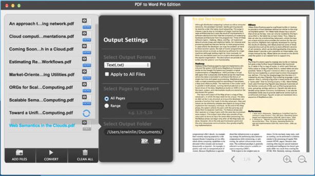 PDF to Word Pro Edition 1.0 : Main Window