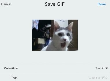 Saving GIF