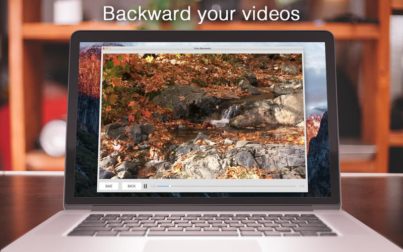 Video Backwarder 1.0 : Main window