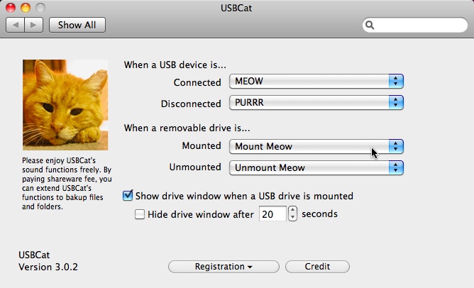 USBCat 3.0 : Main window