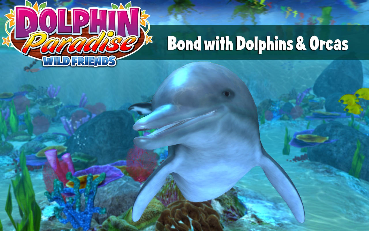 Dolphin Paradise 1.0 : Main Window