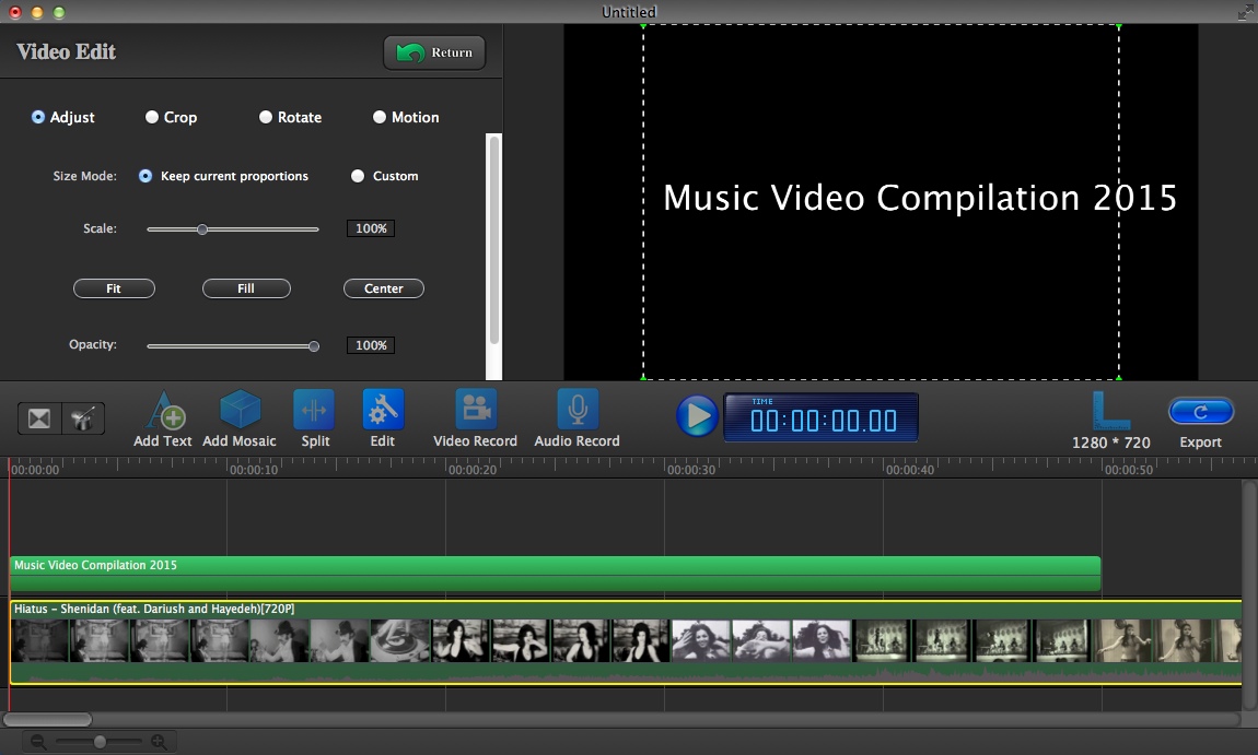 Video Editor Redux - Mosaic Cut 3.1 : Editing Input Video