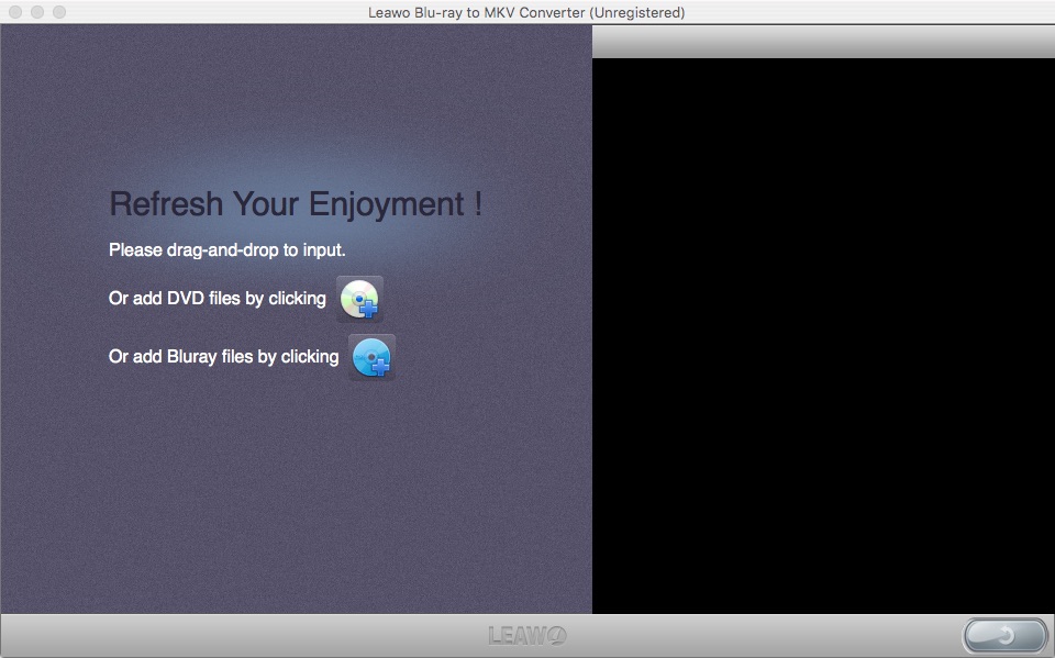 Blu-ray to MKV Converter for Mac 2.0 : Main window