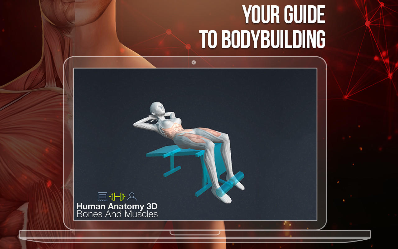 Human Anatomy 3D Bones And Muscles PRO 3.0 : Main Window