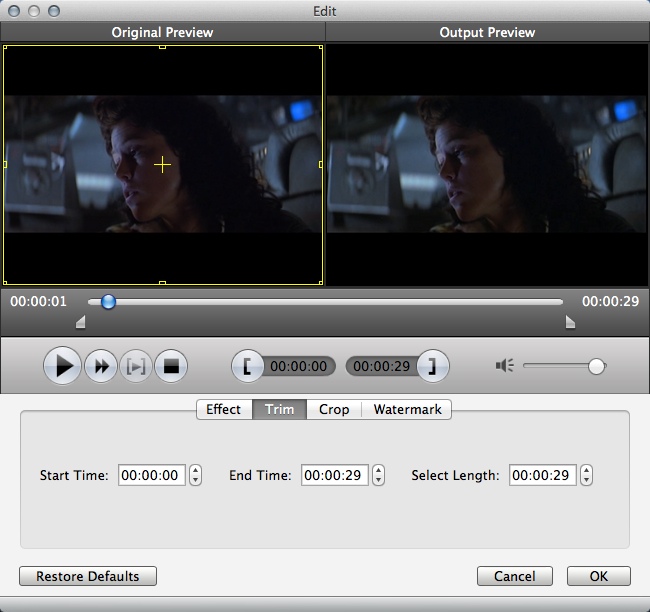 Free DVD Ripper 6.1 : Editing Input Video