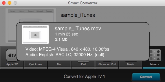 Smart Converter 2.2 : Checking Input File Info
